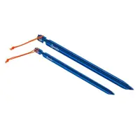 Sonic Stake