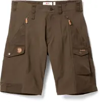 Abisko Shorts - Men's